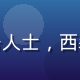 用户张伟，上海商务人士，西装笔挺面带职业微笑